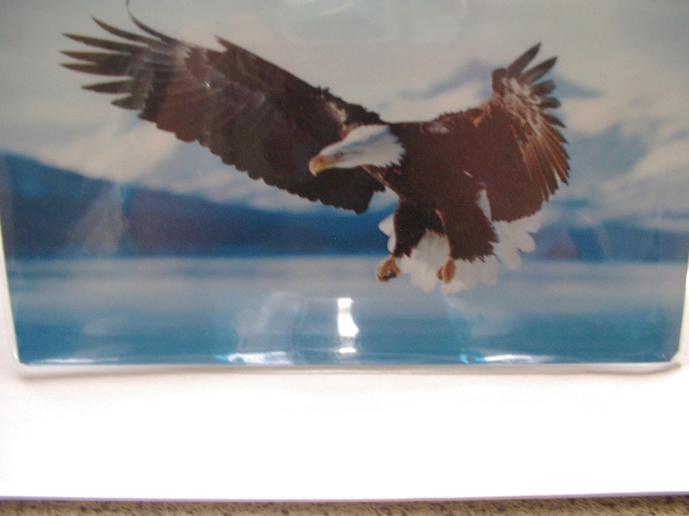 Eagle Flying Checkbook cover