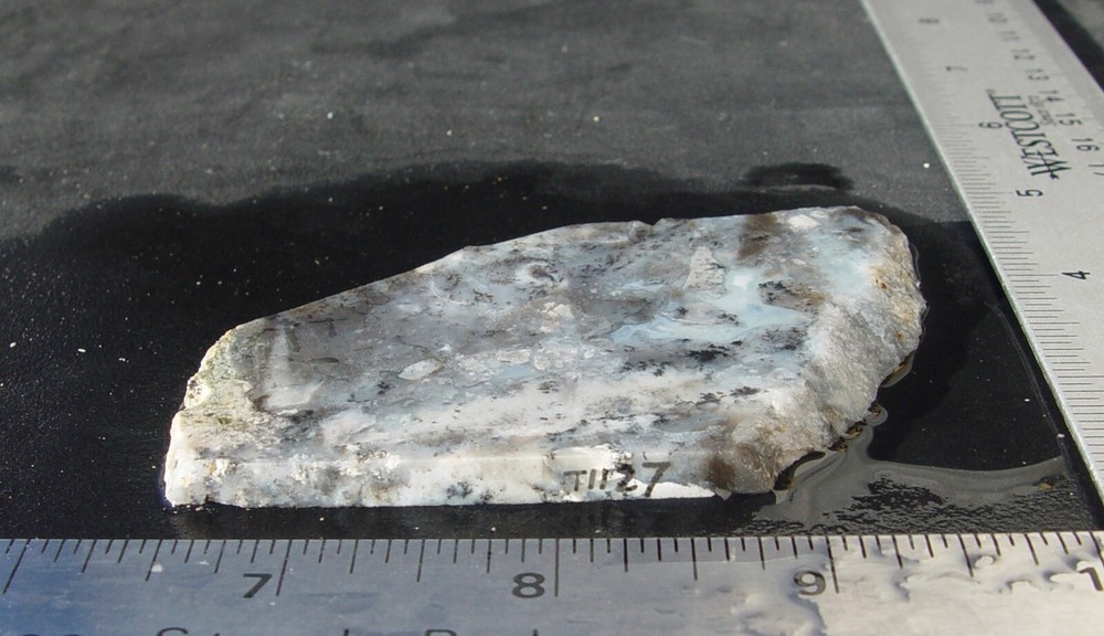 Dendritic Agate Lapidary Slab T1127