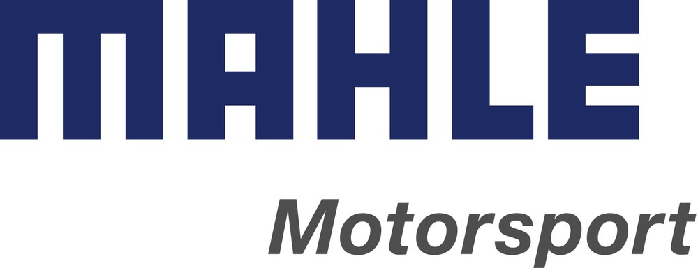 Mahle 4055ML-043 Engine Piston Ring Set