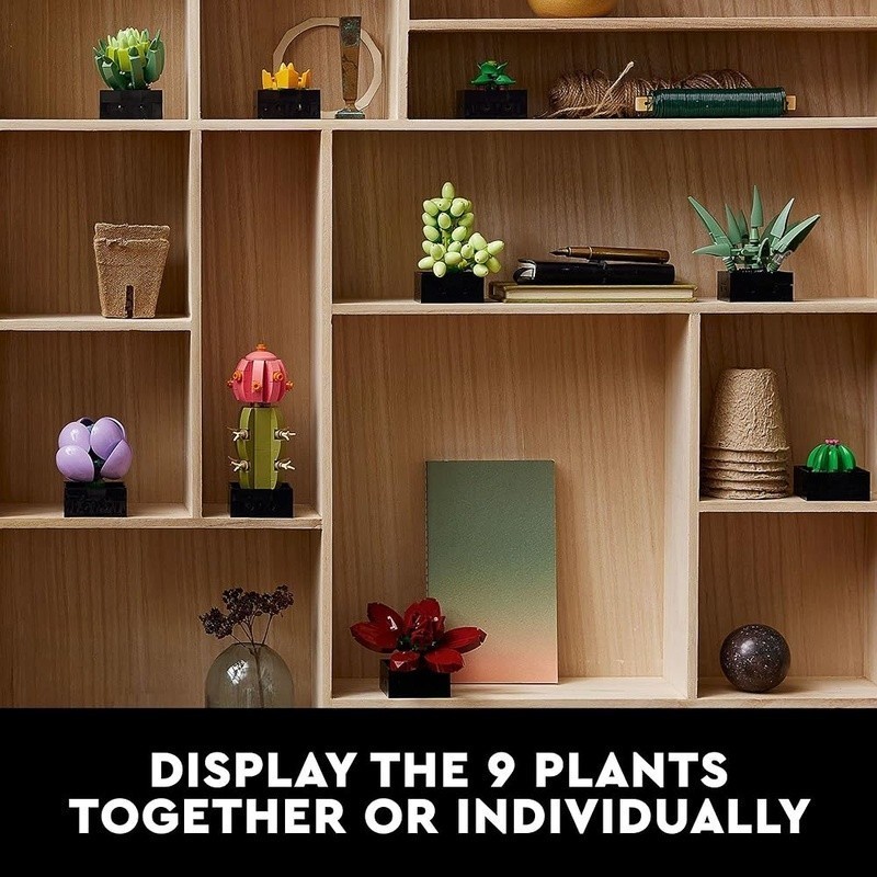 Artificial Succulent Plants Set Home Office Décor Customizable Display Gift Idea