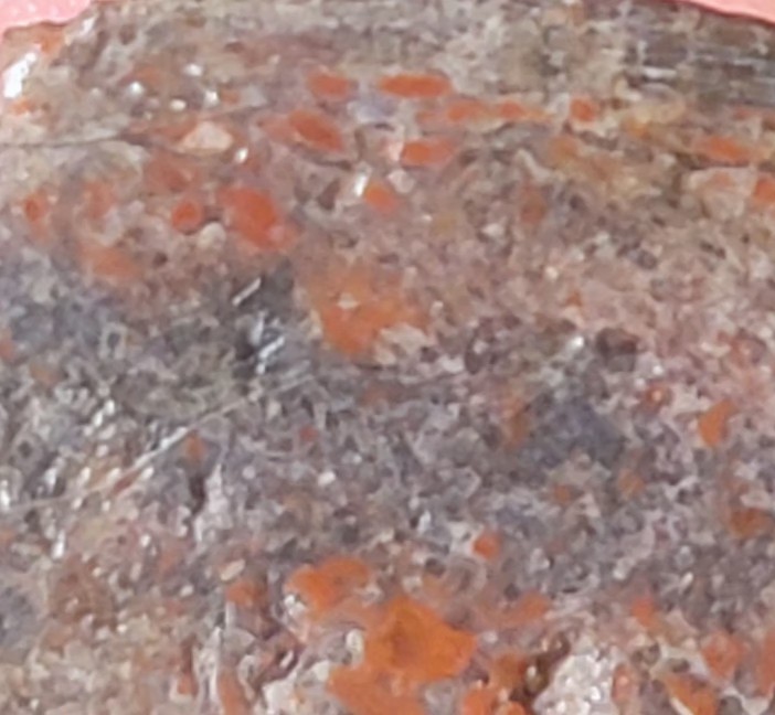 2.06 Lbs Agitized Dino Bone Smalls