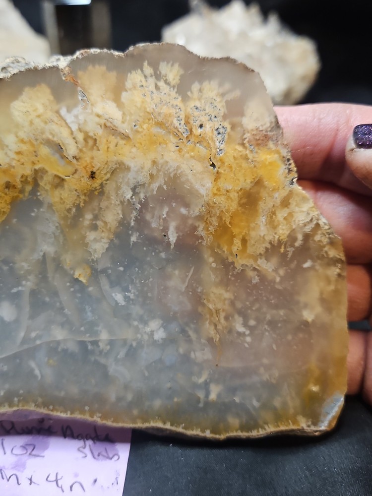 Graveyard Plume Agate Slab Specimen (11oz)