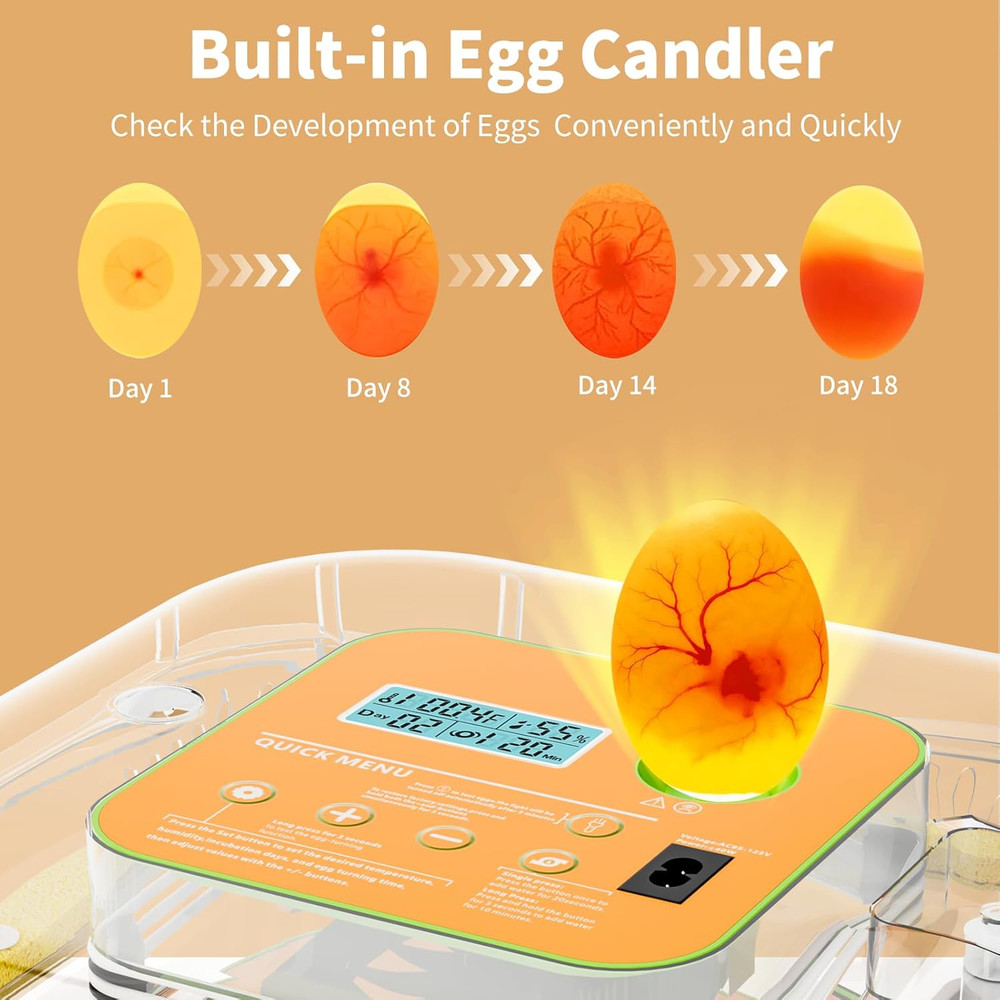Incubator for Hatching Eggs, Temperature and Humidity Control, Automatic and Adj