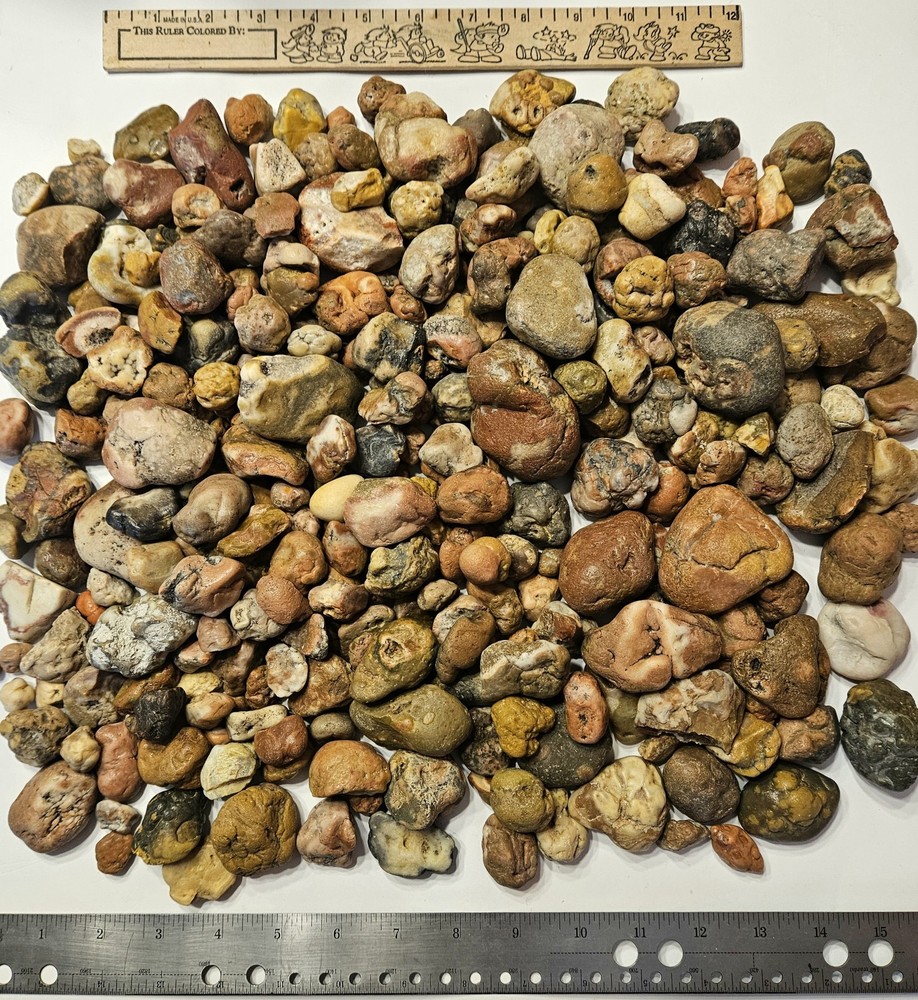 Bubblegum Agate Rough (as found). Rarely offered. 2 lb. lot. Random pull.