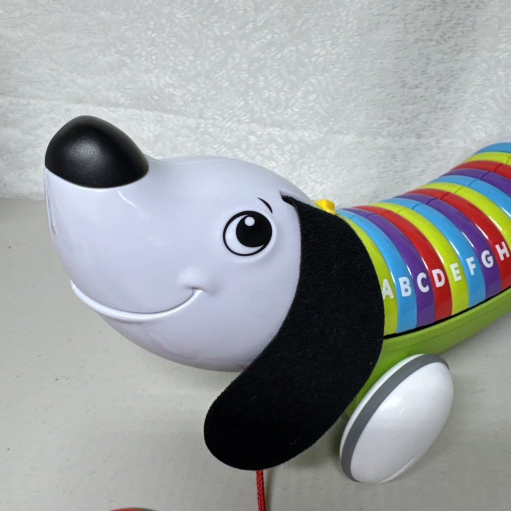 LeapFrog Alphapup Multicolor Pull-Along Singing Talking Educational Toy U23