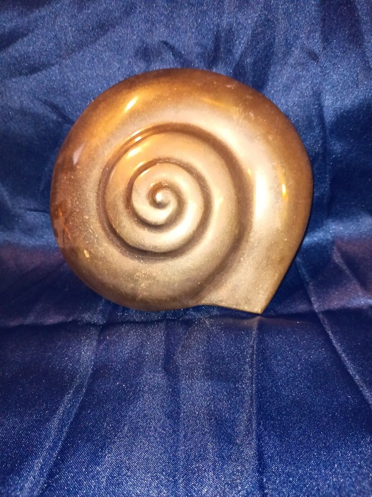 Brass Shark Eye Moon Shell