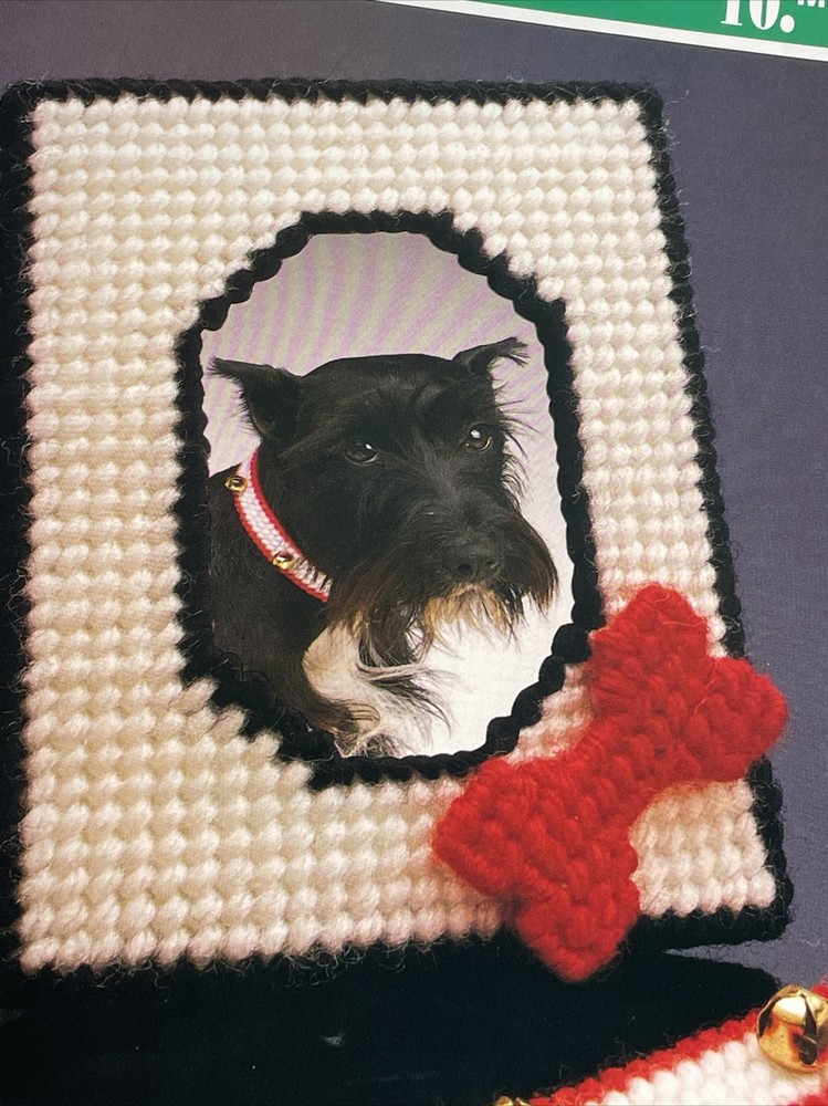 Pet Collar & Frame Annie's Plastic Canvas Pattern