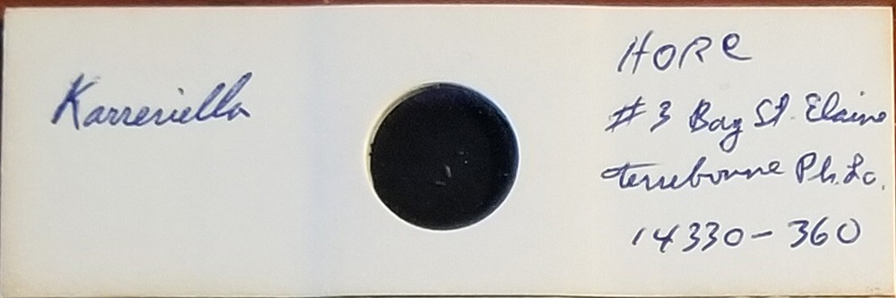 Foraminifera Karreriella sp. Microfossil Microscope Slide