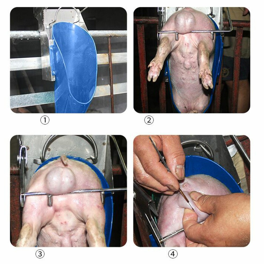 NEW Large Pig Castration Rack Tools Piglet Castration Bracket US STOCK