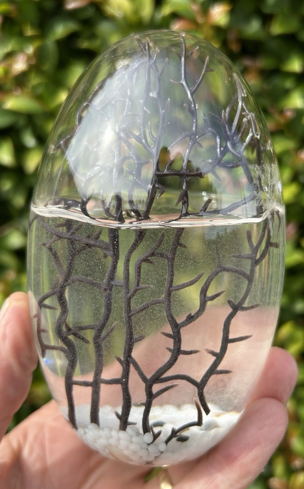 5" GLASS EGG-SHAPED CLOSED SYSTEM ECOSYSTEM shrimp ECOSPHERE self-sustaining
