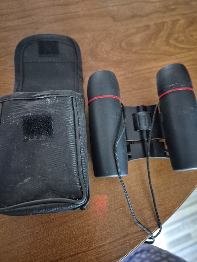 Compact Foldable Binoculars 12×25