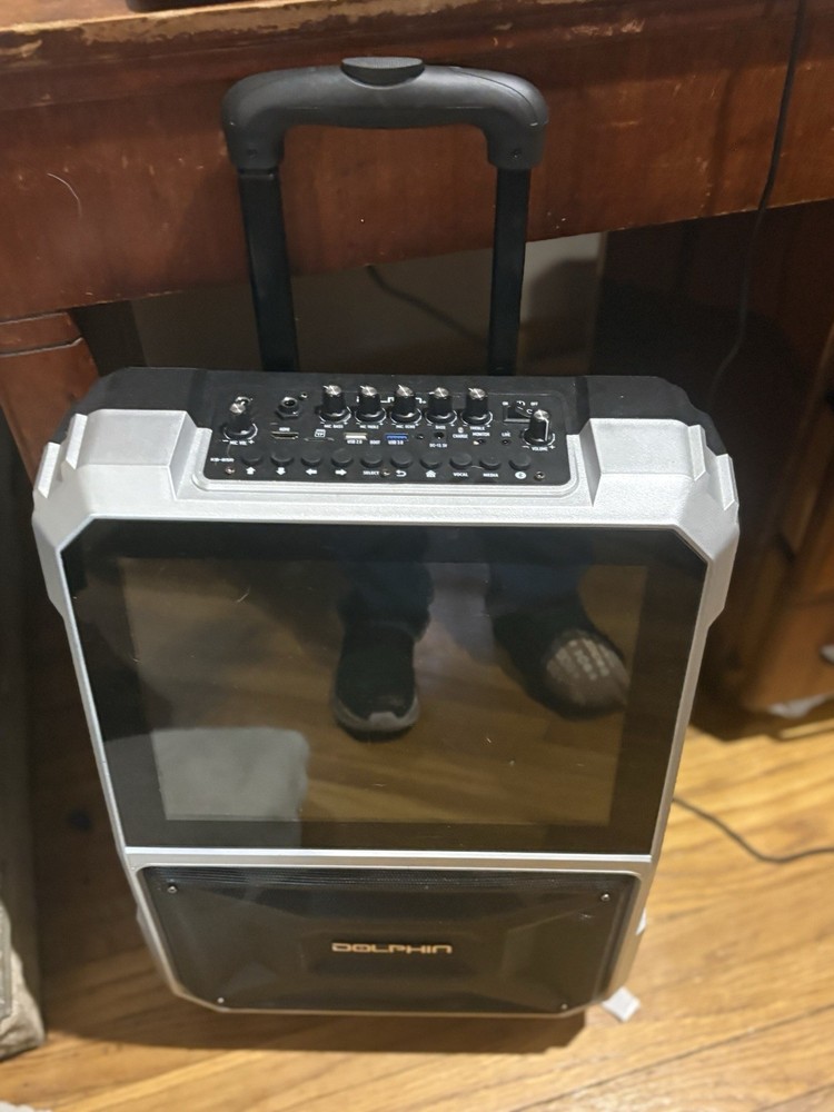 Dolphin Karaoke Machine