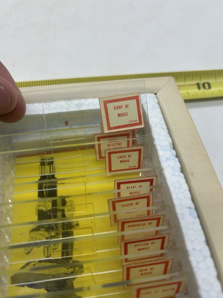 Milben 12 Microscope Slides Set No 810