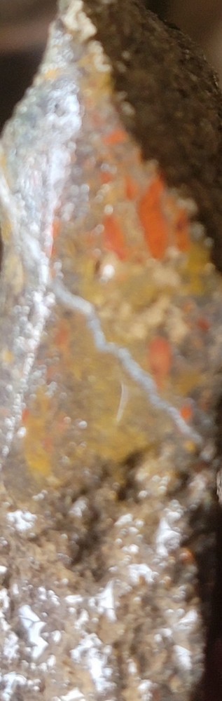 2.78 Lbs Agitized Dino Bone Smalls