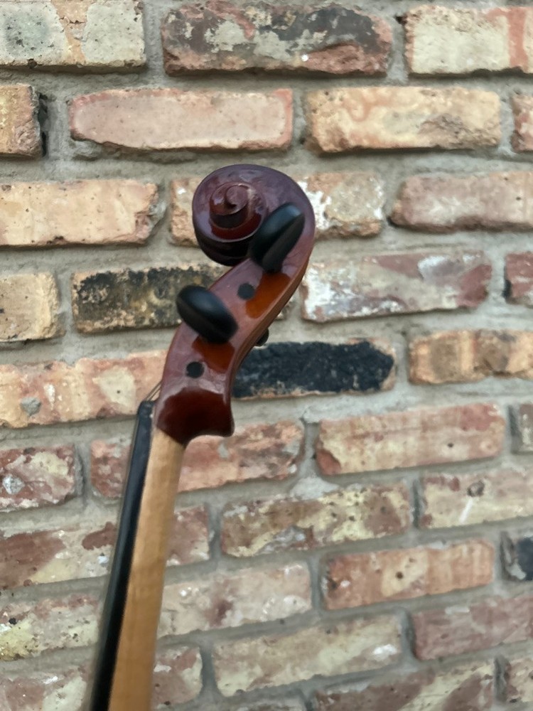 Maestro violin with two bows
