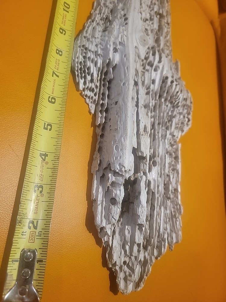Driftwood