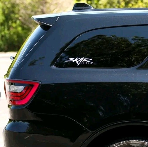 skar audio sticker Decal