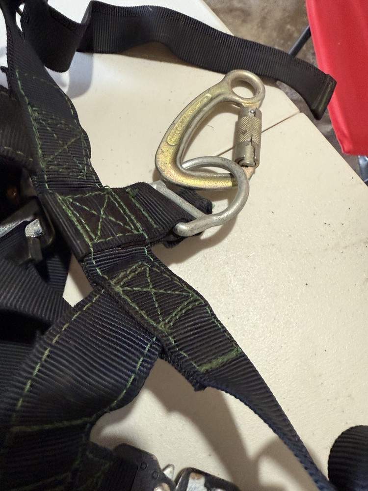 Harness