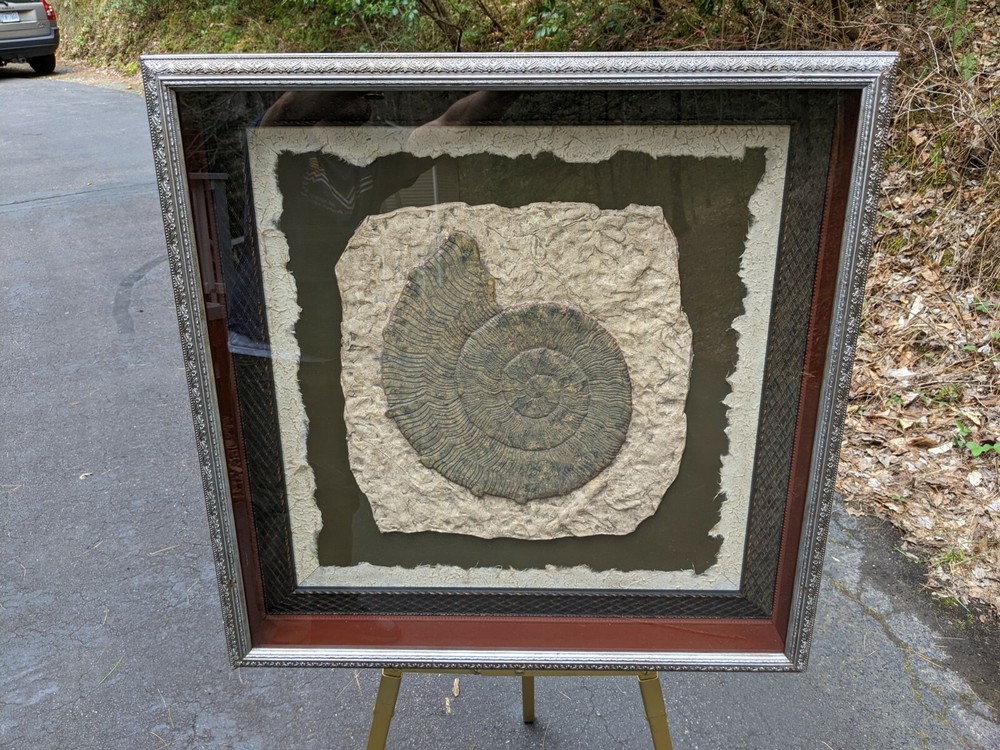 John Richard Neiman Marcus Mixed Media 3-D Shadowbox Art Nautilus Shell - Stone