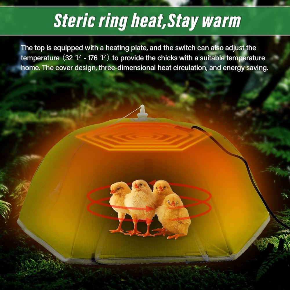 Heated Brooder Box with Plate for 10 Newborn Chicks - Chick Care Heater