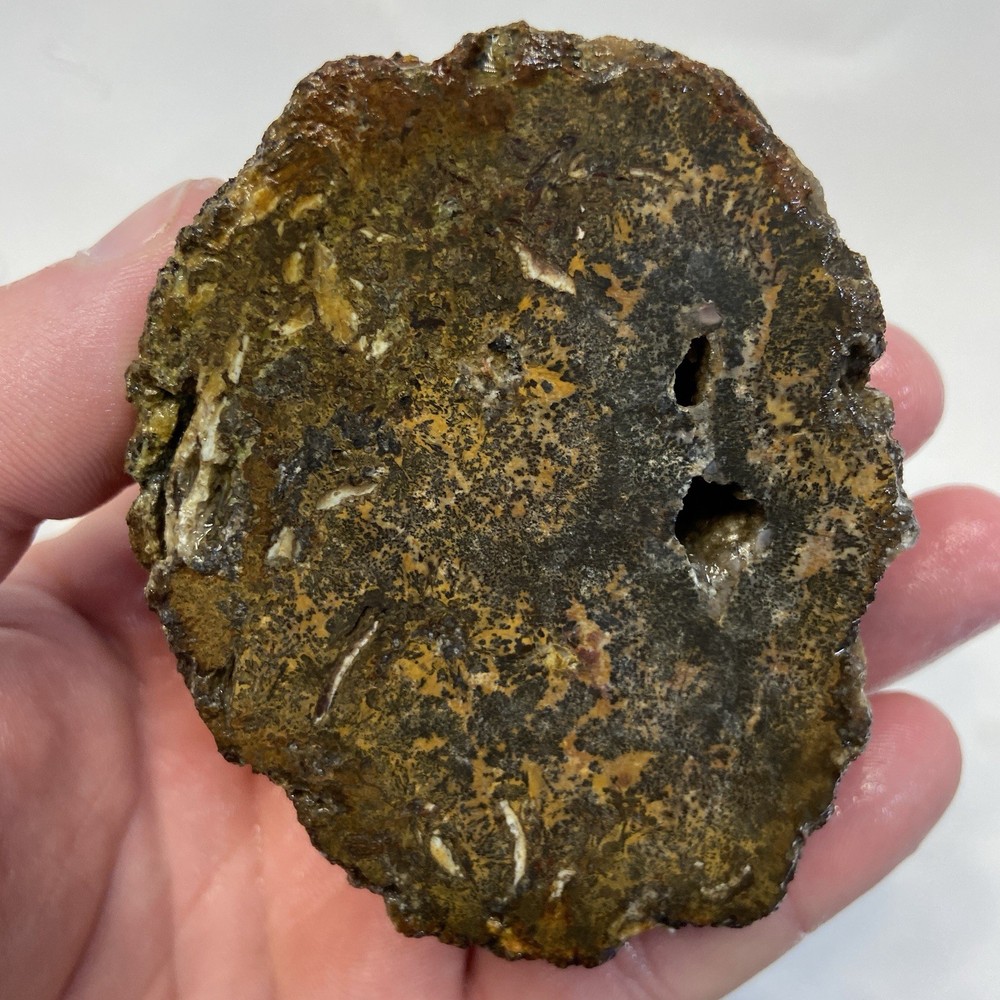 Orange Dendritic Agate Rough Lapidary Half 10.74 Oz