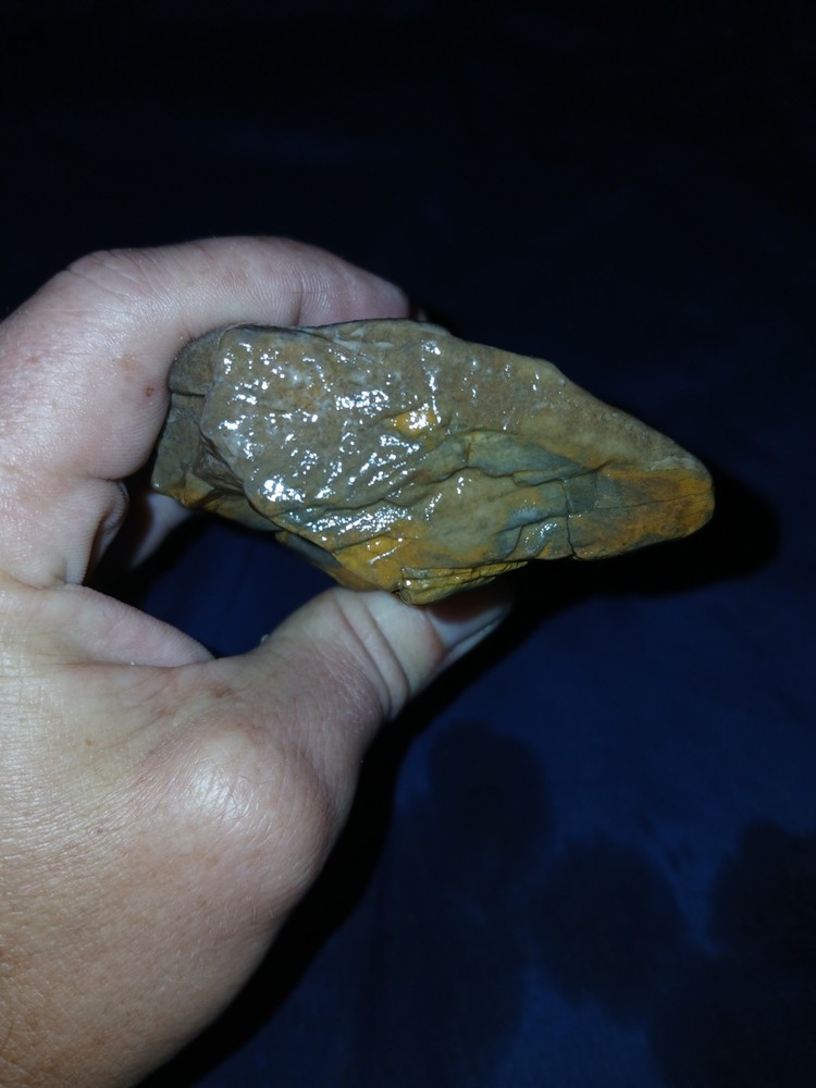 9.oz Texas Petrified Wood