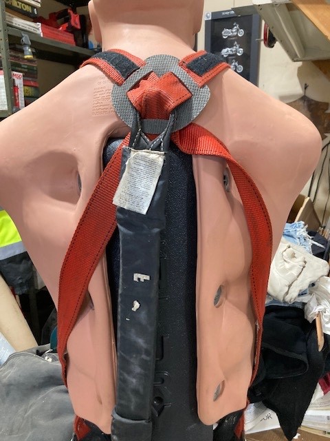 Buckingham fall protection / bucket harness