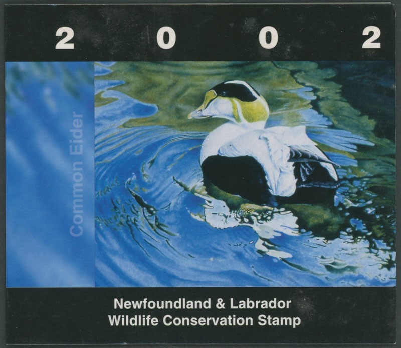 2002 CANADA-NEWFOUNDLAND & LABRADOR. CONSERVATION, COMMON EIDER, VD.#NLW9