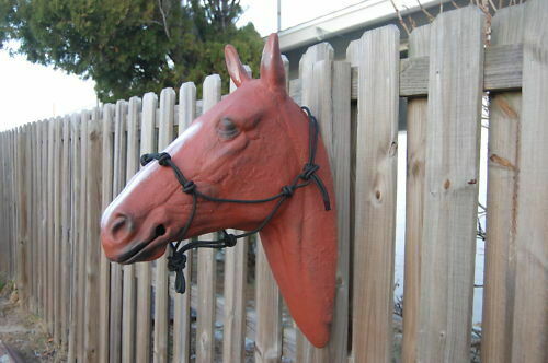 WARMBLOOD STIFF 4-KNOT HALTER FOR ANDERSON TRAINING METHOD