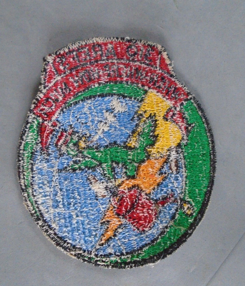 310th AREFS patch