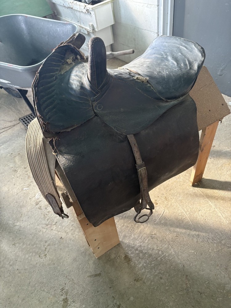 antique sidesaddle equestrian