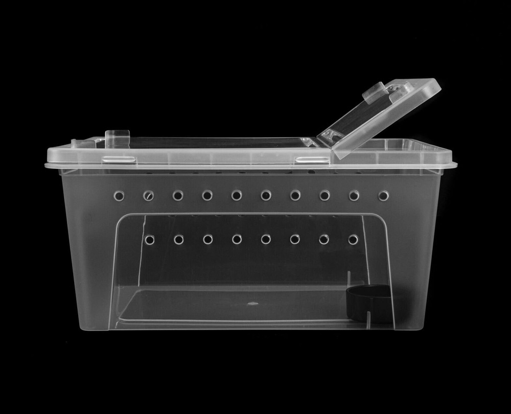 2 PACK Large Clear Stackable Invertebrate & Reptile Keeper Box