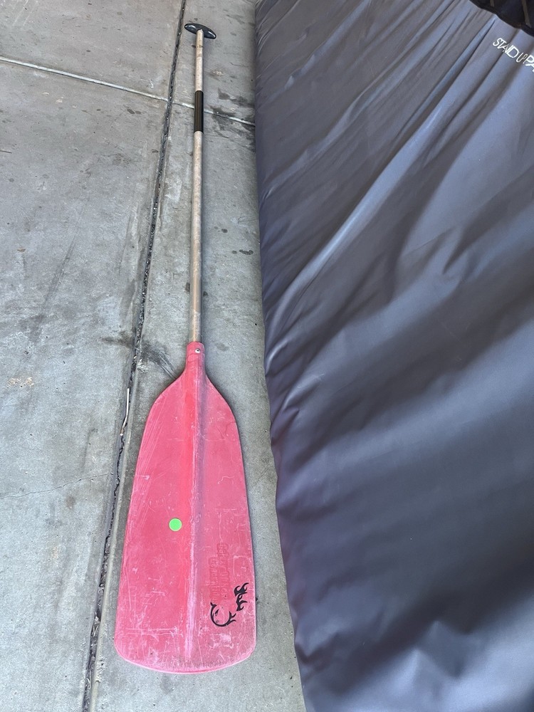 10ft Prolite Surfboard With Bag And Paddle Included