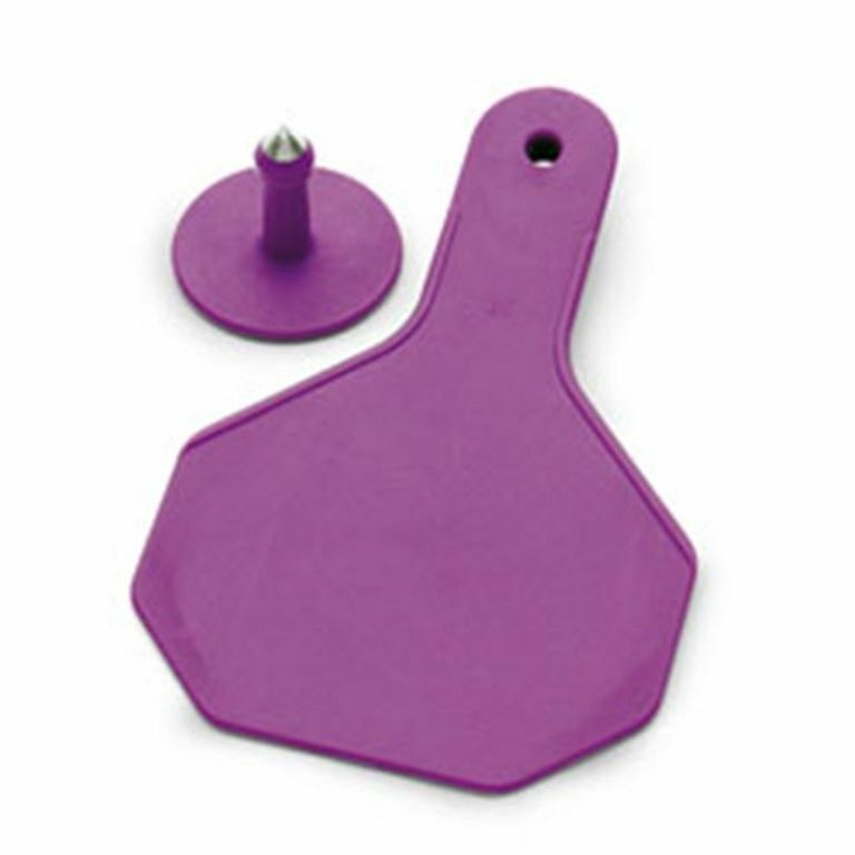 Y-Tex 3 Star Medium Blank Cattle Ear Tags 25 Count Purple
