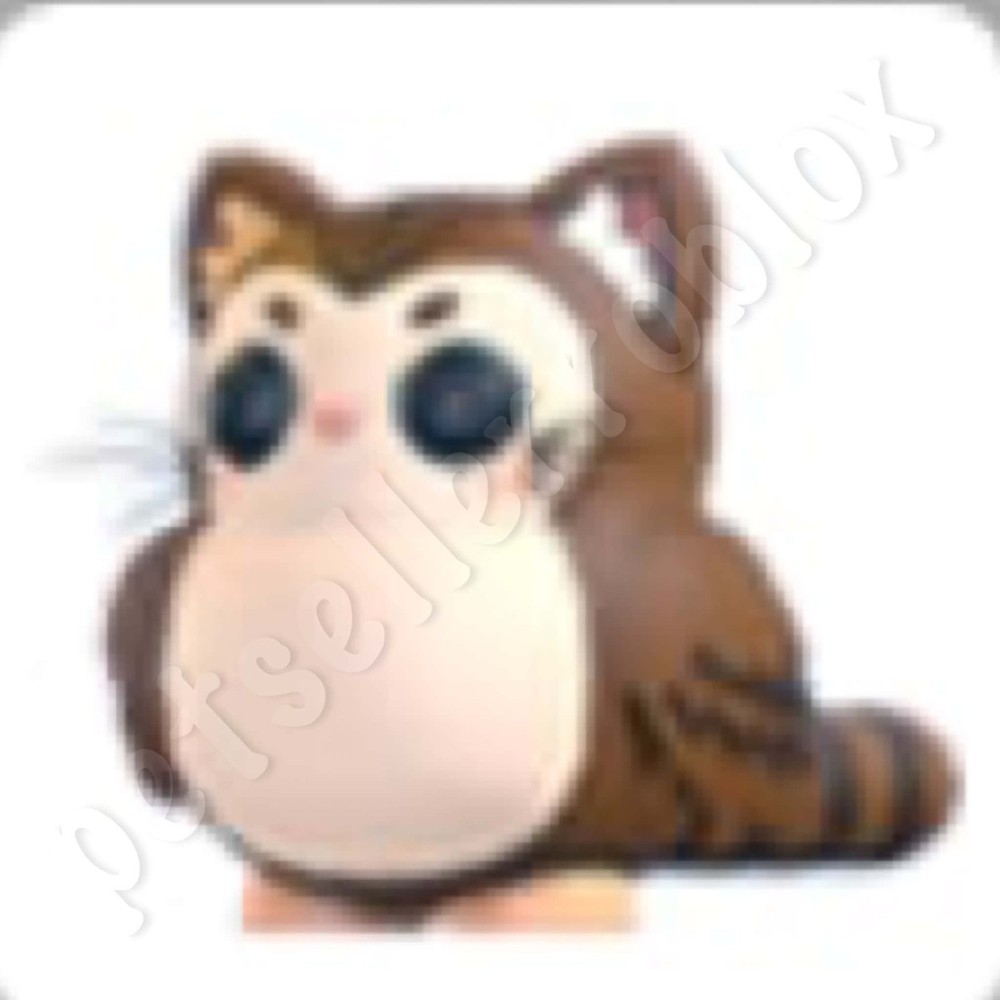 Purrowl | Adopt Now