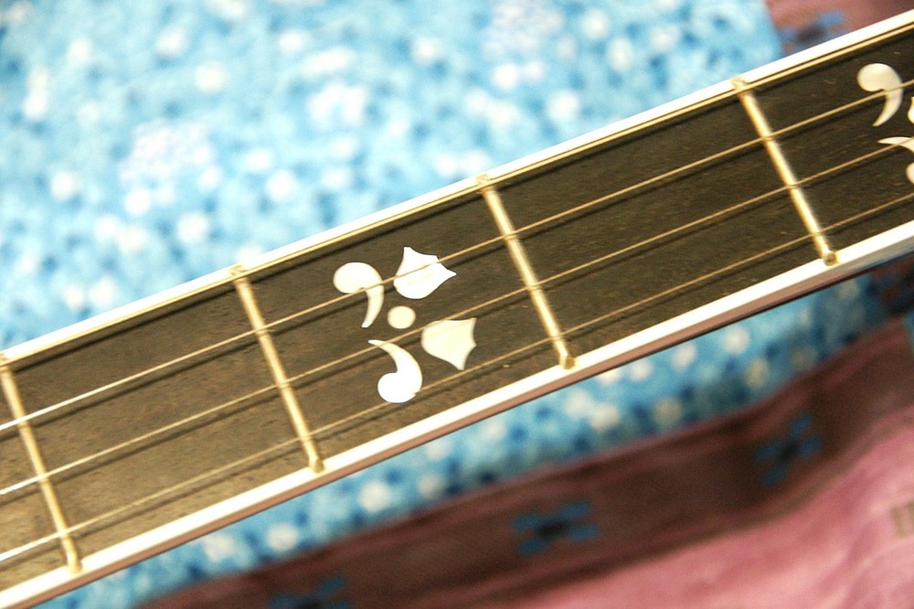 Deering Maple Blossom Plectrum 4 string Banjo