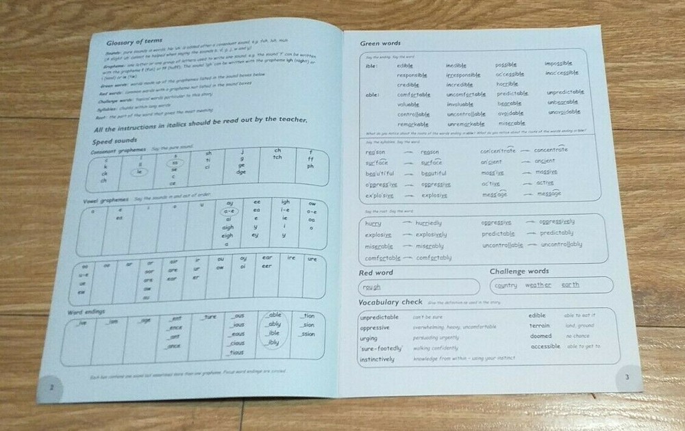Read Write Inc Fresh Start - Module 32 - The Invisible City
