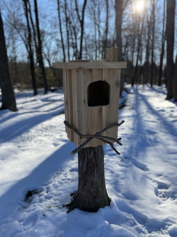 Cedar Barred Owl Nest Box Unfinished