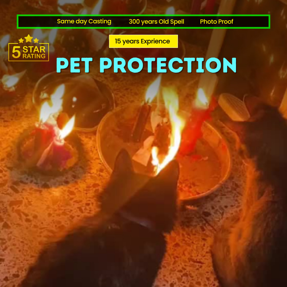 Pet Protection  Spell