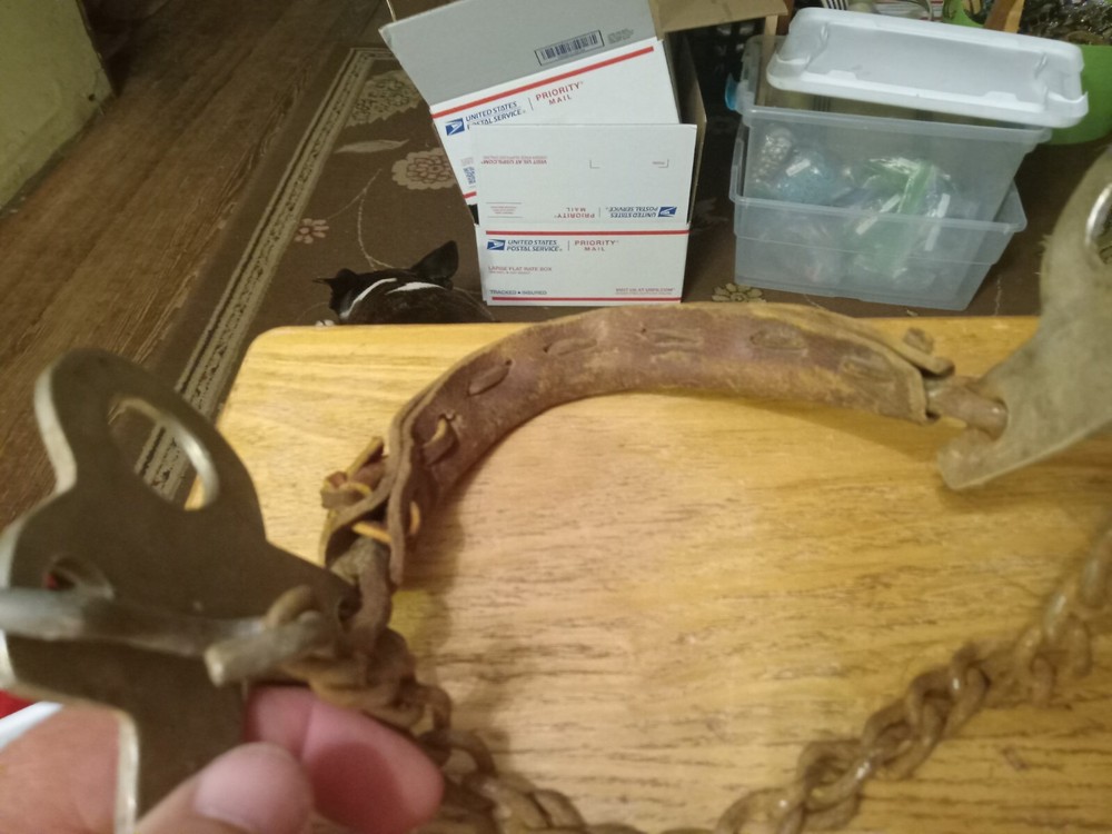 vintage Horse Bit T hackamore aluminum