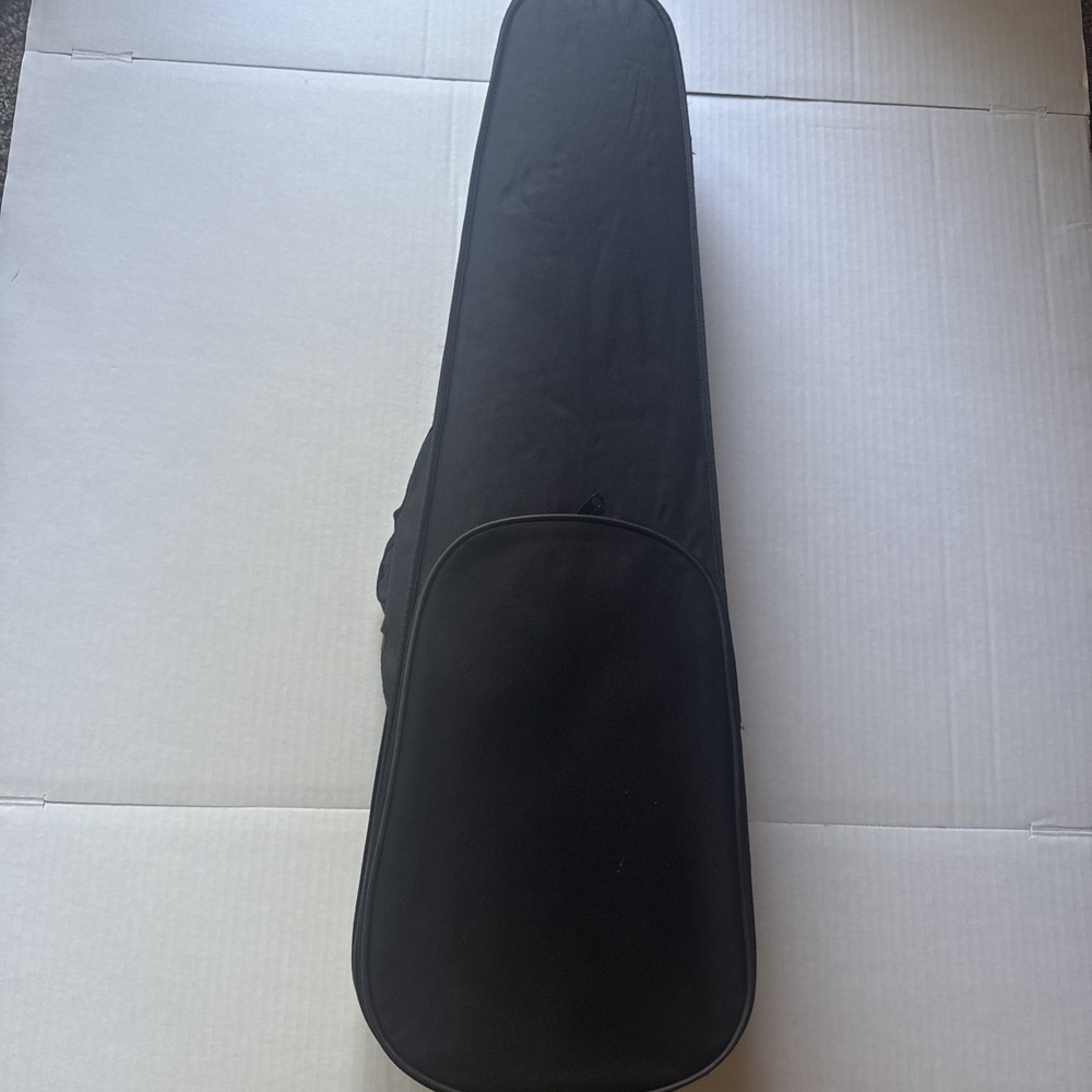 Violin With Case