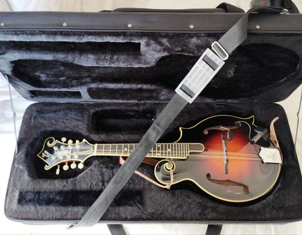 The Loar flat mandolin