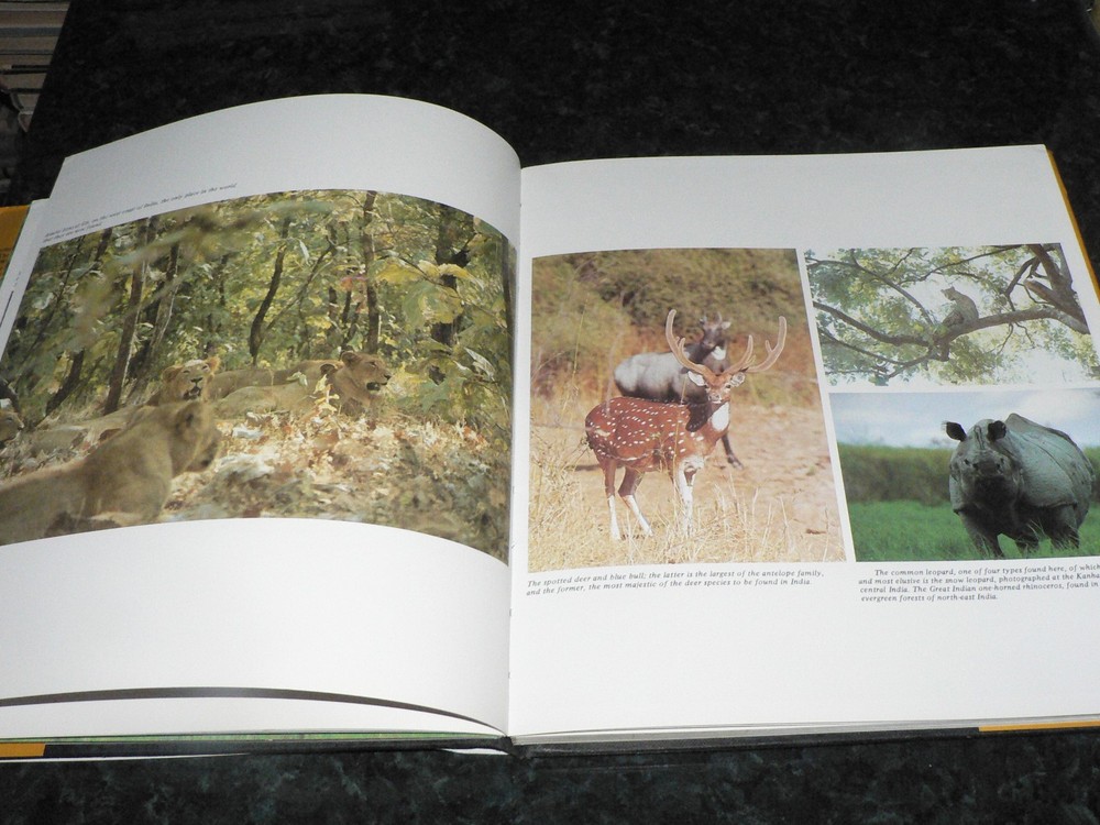 REDISCOVERING INDIA 1983