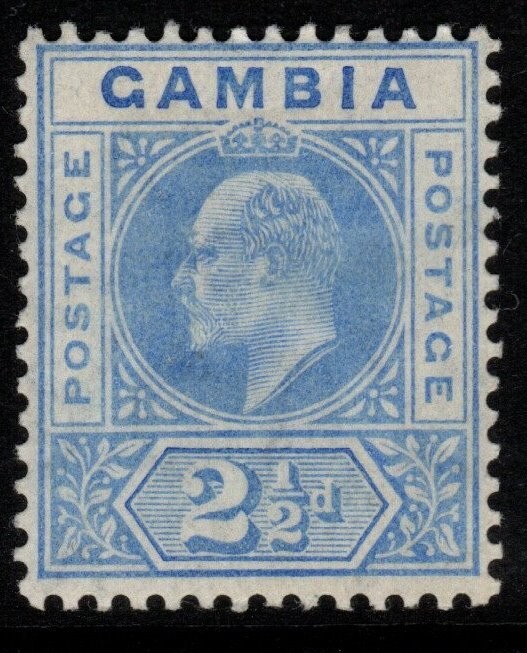 GAMBIA SG60 1905 2½d BRIGHT BLUE MTD MINT