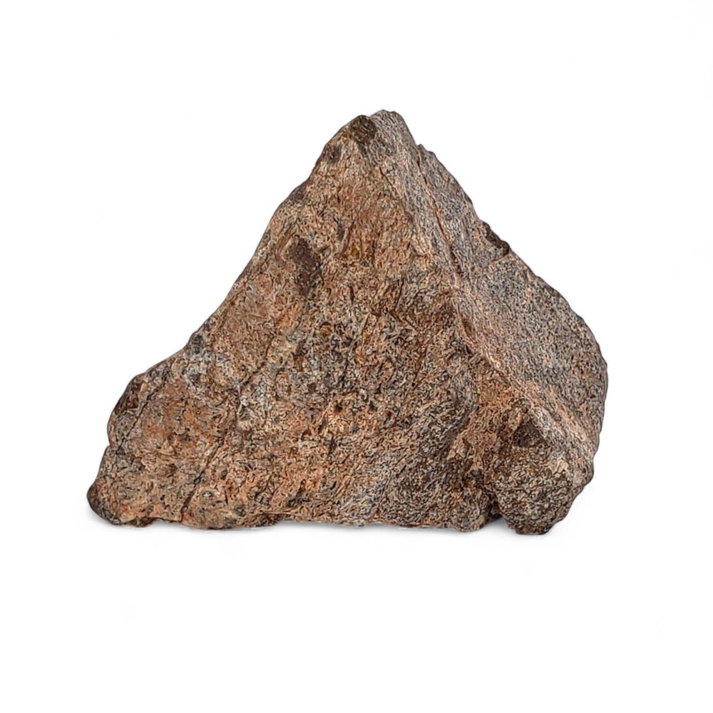 Jurassic Dinosaur Fossil Bone from Morrison Formation Includes Display