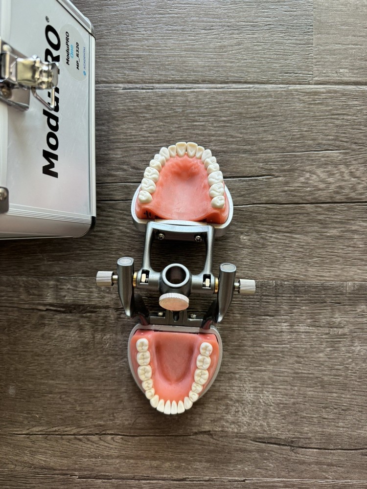 Acadental MuduPro Typodont - New Teeth & Carrying Case