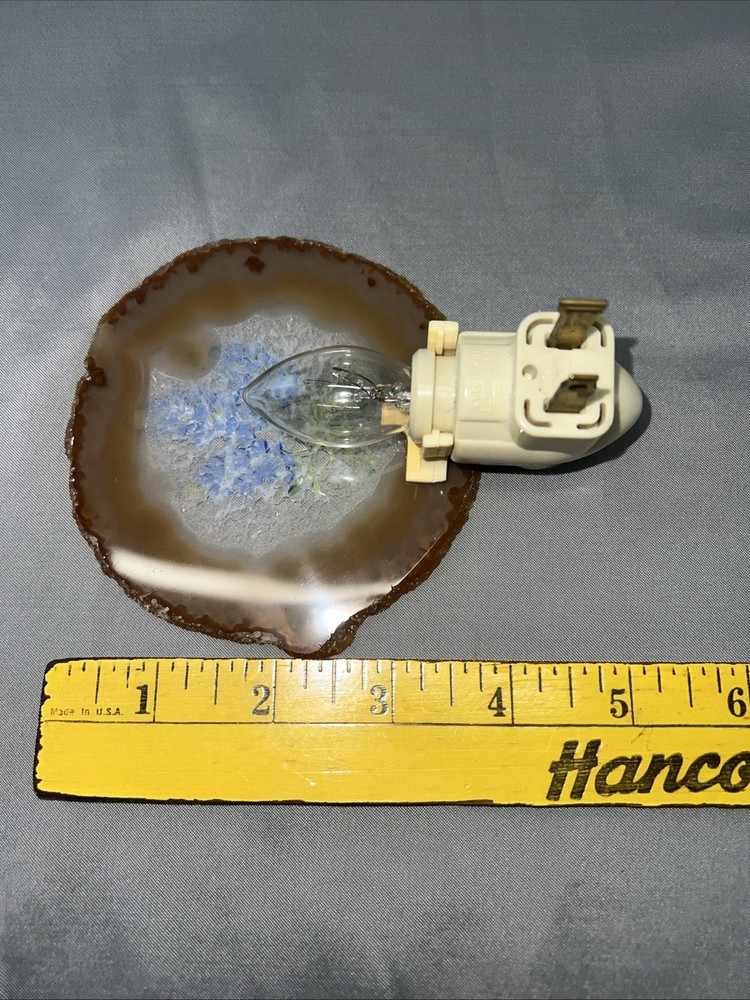 Vintage Blue Bonnet Texas Night Light