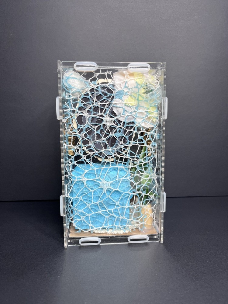 Front opening blue room Jumping Spider Enclosure