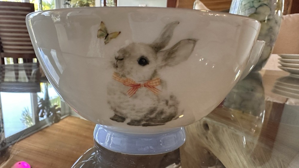 Pier 1 Butterfly 4 cups & 4 Bowls