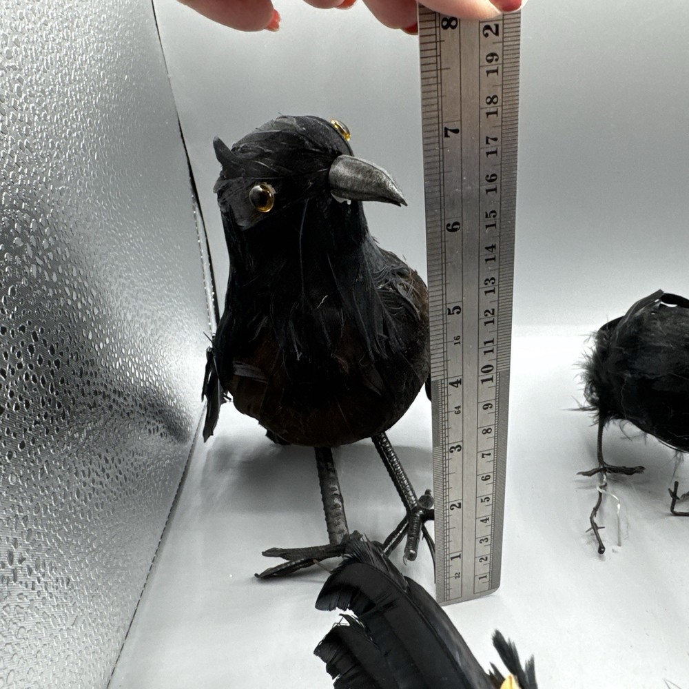 5 PCS Black Feathered Crows Halloween Ravens